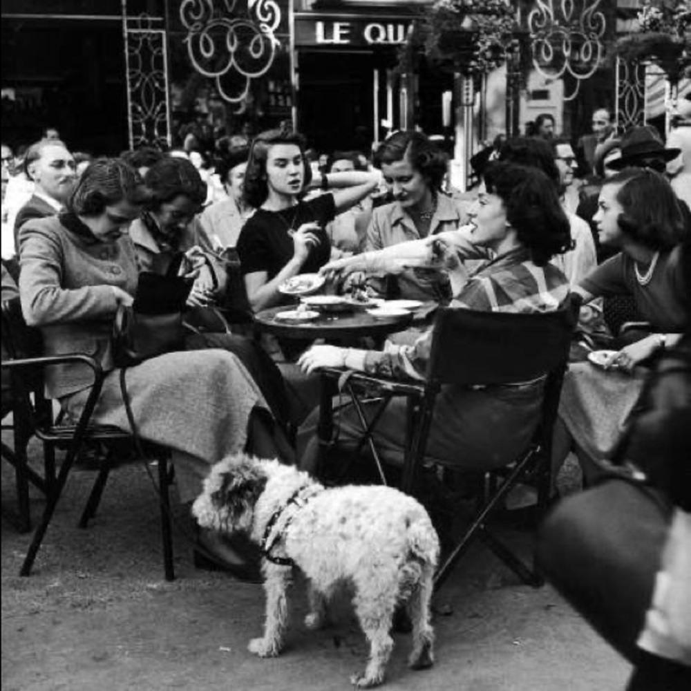 Meet your Posher, Jen